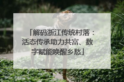 解码浙江传统村落：活态传承助力共富、数字赋能唤醒乡愁