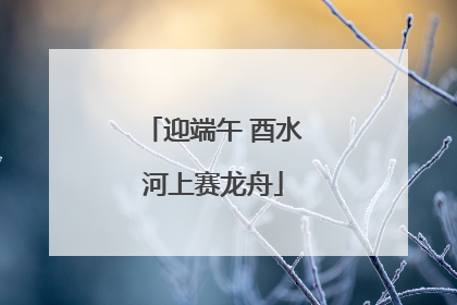 迎端午 酉水河上赛龙舟