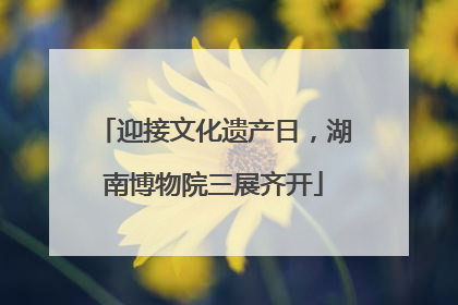 迎接文化遗产日，湖南博物院三展齐开
