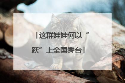 这群娃娃何以“跃”上全国舞台