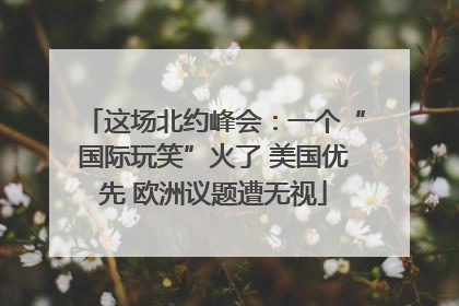 这场北约峰会：一个“国际玩笑”火了 美国优先 欧洲议题遭无视
