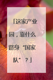 这家产业园，靠什么跻身“国家队”？