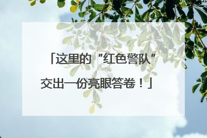 这里的“红色警队”交出一份亮眼答卷！
