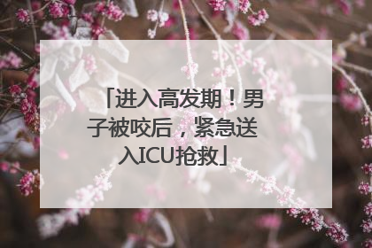 进入高发期！男子被咬后，紧急送入ICU抢救