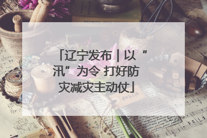 辽宁发布｜以“汛”为令 打好防灾减灾主动仗