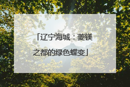 辽宁海城：菱镁之都的绿色蝶变