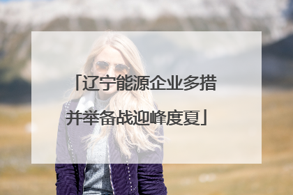 辽宁能源企业多措并举备战迎峰度夏