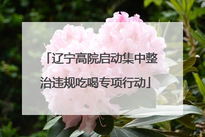 辽宁高院启动集中整治违规吃喝专项行动