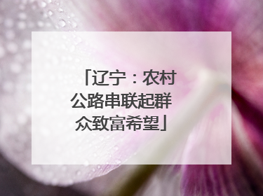 辽宁：农村公路串联起群众致富希望
