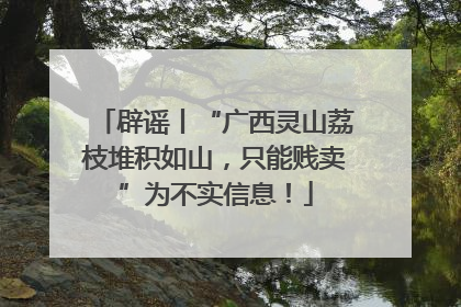 辟谣丨“广西灵山荔枝堆积如山，只能贱卖”为不实信息！