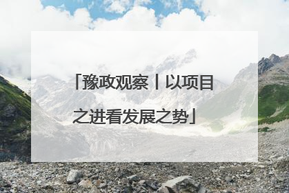 豫政观察丨以项目之进看发展之势