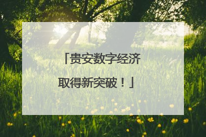 贵安数字经济取得新突破！