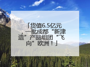 货值6.5亿元，一批成都“新津造”产品组团“飞向”欧洲！