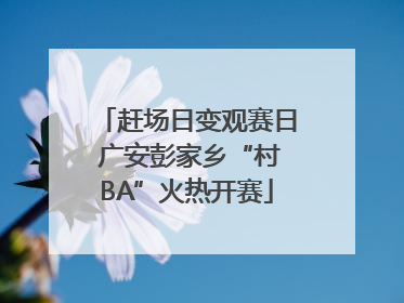 赶场日变观赛日 广安彭家乡“村BA”火热开赛