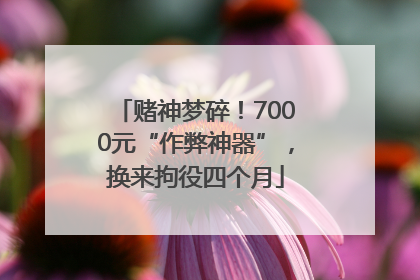 赌神梦碎！7000元“作弊神器”，换来拘役四个月