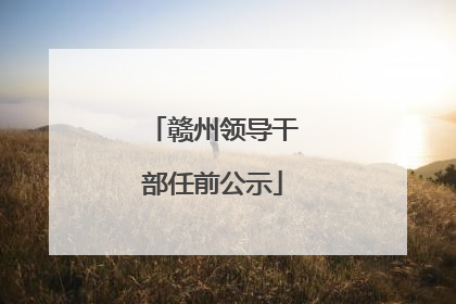 赣州领导干部任前公示