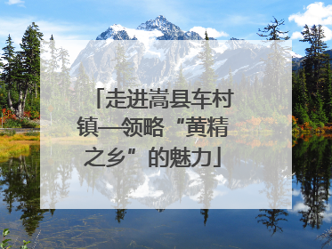 走进嵩县车村镇—领略“黄精之乡”的魅力