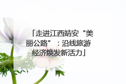 走进江西靖安“美丽公路”：沿线旅游经济焕发新活力