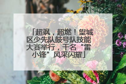 超飒，超燃！望城区少先队鼓号队技能大赛举行，千名“雷小锋”风采闪耀