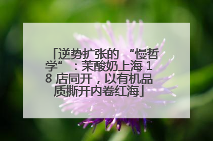 逆势扩张的 “慢哲学”：茉酸奶上海 18 店同开，以有机品质撕开内卷红海