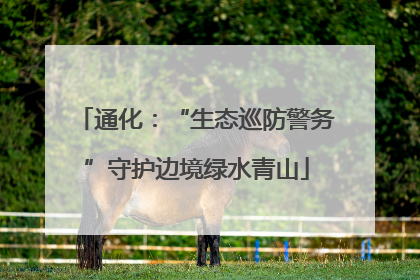 通化：“生态巡防警务”守护边境绿水青山