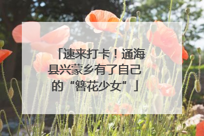 速来打卡！通海县兴蒙乡有了自己的“簪花少女”