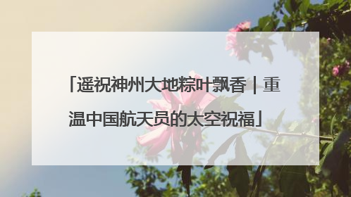 遥祝神州大地粽叶飘香｜重温中国航天员的太空祝福