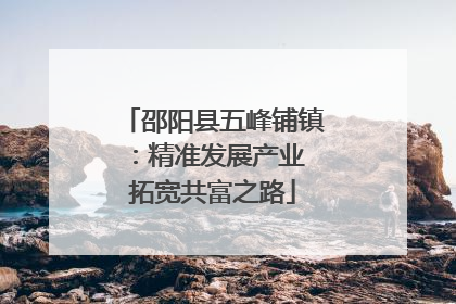 邵阳县五峰铺镇：精准发展产业 拓宽共富之路