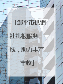 邹平市供销社扎根服务一线，助力丰产丰收