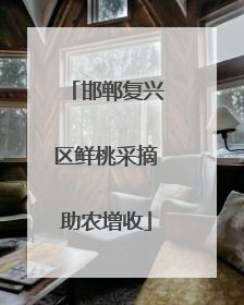 邯郸复兴区鲜桃采摘助农增收