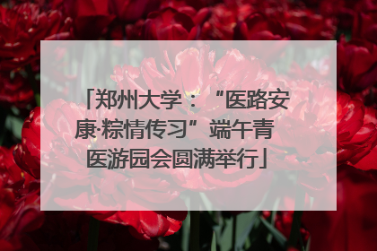 郑州大学：“医路安康·粽情传习”端午青医游园会圆满举行