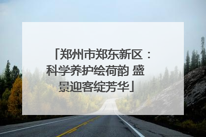 郑州市郑东新区：科学养护绘荷韵 盛景迎客绽芳华