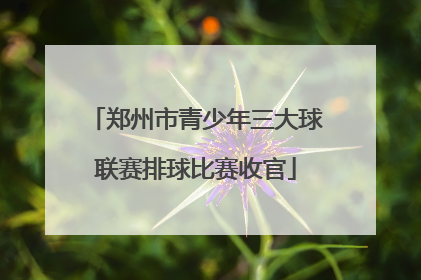 郑州市青少年三大球联赛排球比赛收官