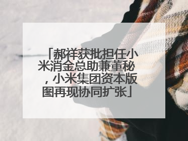 郝祥获批担任小米消金总助兼董秘，小米集团资本版图再现协同扩张