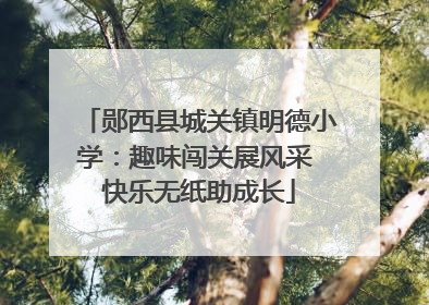 郧西县城关镇明德小学：趣味闯关展风采 快乐无纸助成长