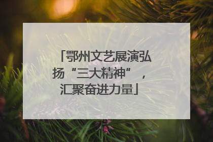 鄂州文艺展演弘扬“三大精神”，汇聚奋进力量
