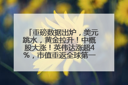 重磅数据出炉，美元跳水，黄金拉升！中概股大涨！英伟达涨超4%，市值重返全球第一！黄仁勋计划出售至多600万股股票
