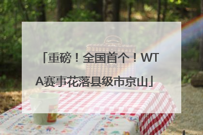 重磅！全国首个！WTA赛事花落县级市京山
