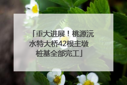重大进展！桃源沅水特大桥42根主墩桩基全部完工