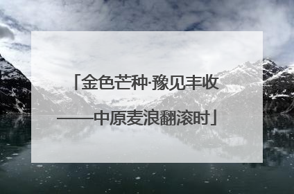 金色芒种·豫见丰收——中原麦浪翻滚时