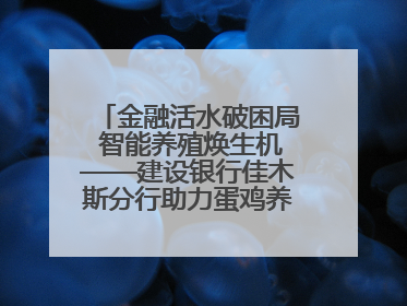 金融活水破困局 智能养殖焕生机——建设银行佳木斯分行助力蛋鸡养殖突围