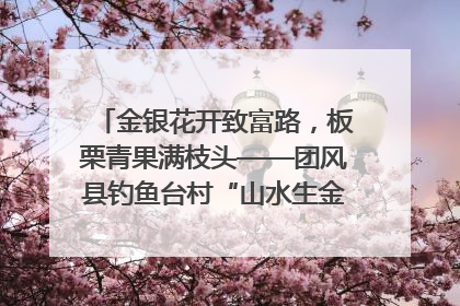 金银花开致富路，板栗青果满枝头——团风县钓鱼台村“山水生金”谱写共富新篇章