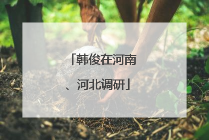 韩俊在河南、河北调研