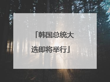 韩国总统大选即将举行