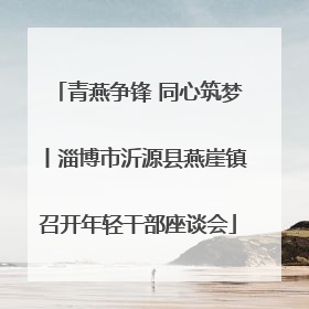 青燕争锋 同心筑梦丨淄博市沂源县燕崖镇召开年轻干部座谈会