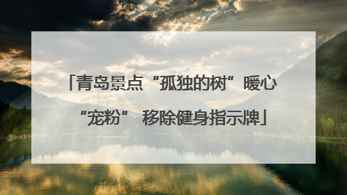 青岛景点“孤独的树”暖心“宠粉” 移除健身指示牌
