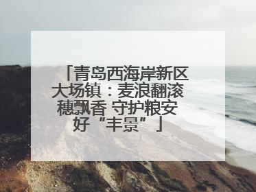 青岛西海岸新区大场镇：麦浪翻滚穗飘香 守护粮安好“丰景”