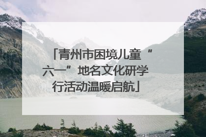 青州市困境儿童“六一”地名文化研学行活动温暖启航