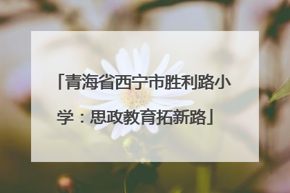 青海省西宁市胜利路小学：思政教育拓新路