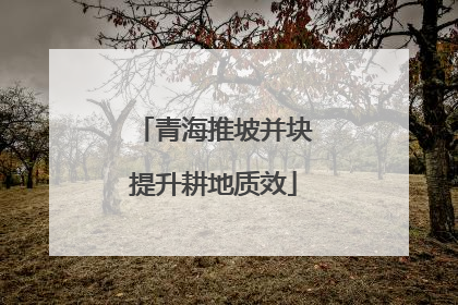 青海推坡并块提升耕地质效